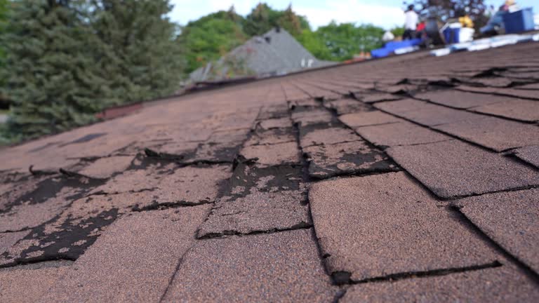 Best Green or Eco-Friendly Roofing Solutions  in Jenkins, KY