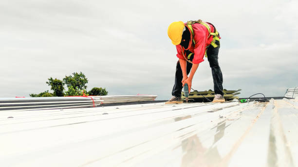 Best Steel Roofing  in Jenkins, KY