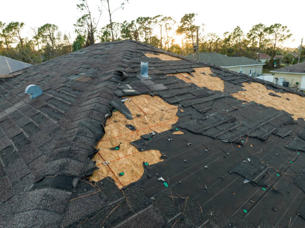Best Roof Waterproofing  in Jenkins, KY